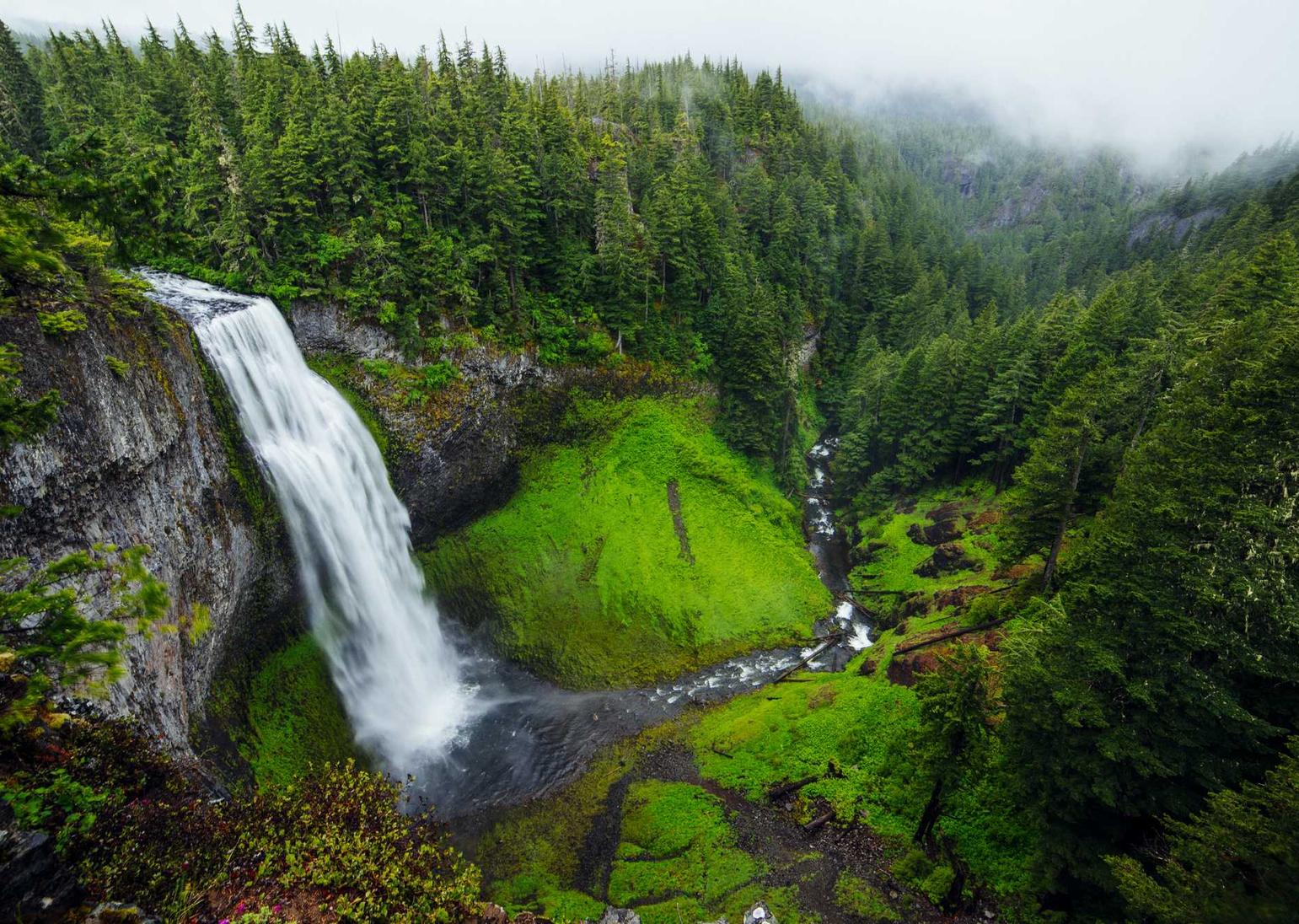 虚拟机手机卡实名实名账号:个人理财平台怎么开户