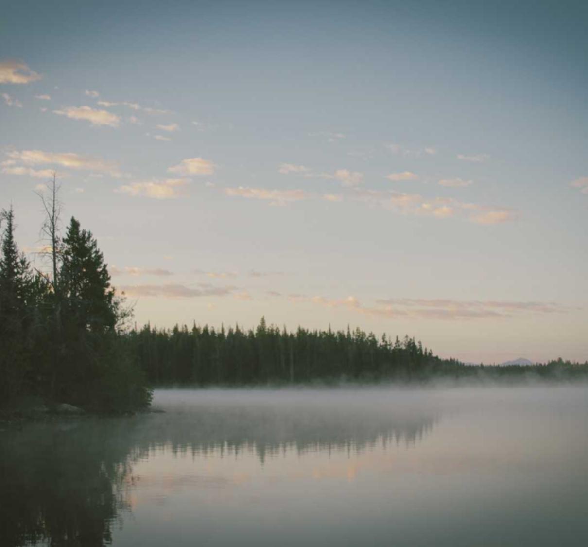 购买steamcdk的平台