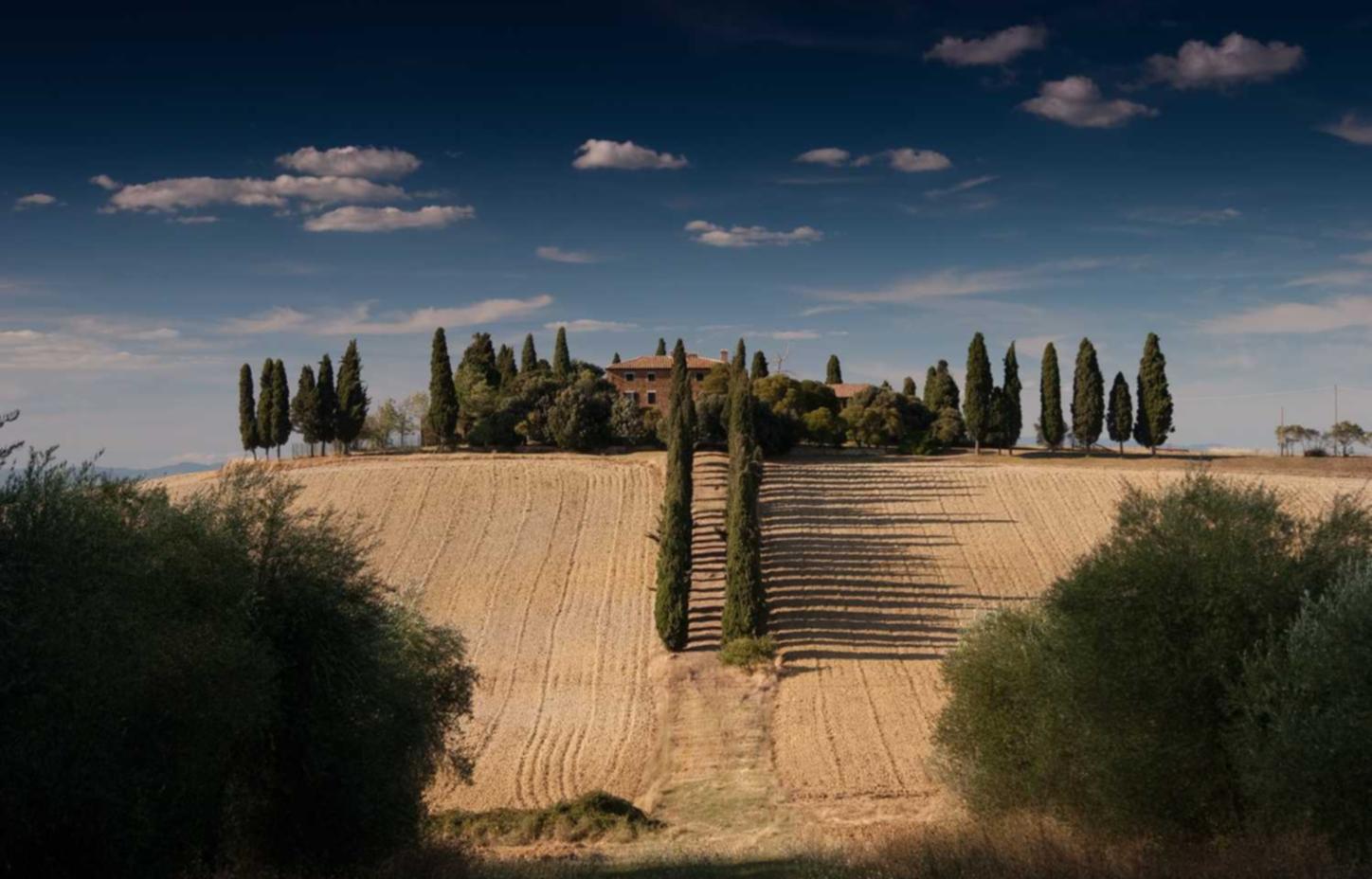 抽烟产生的气味会对他人的态度和健康产生影响吗?