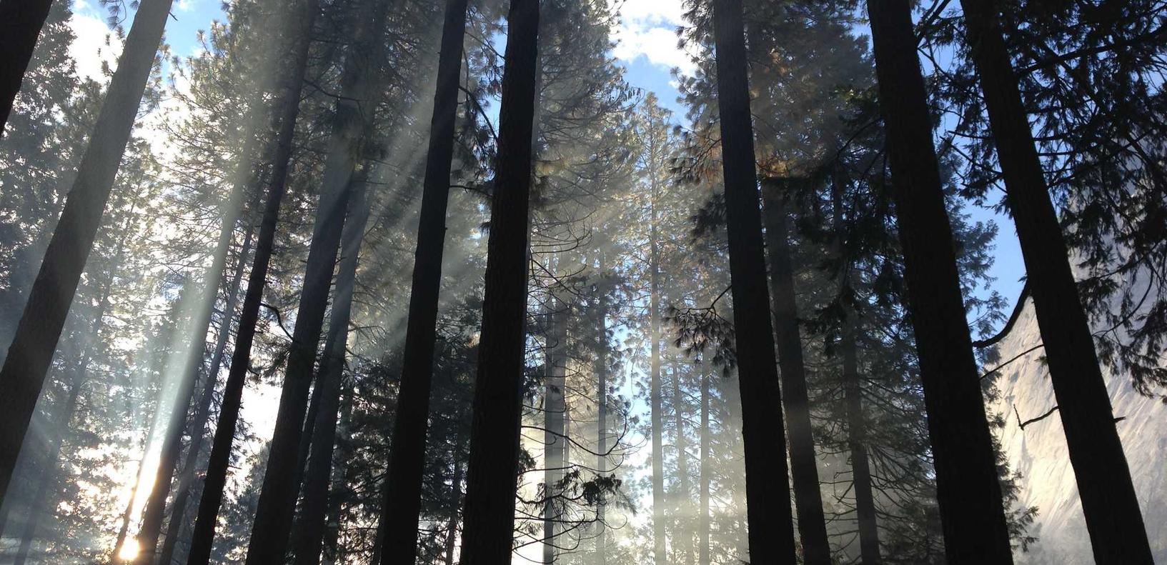 豪门足球风云:货运线上平台代理加盟