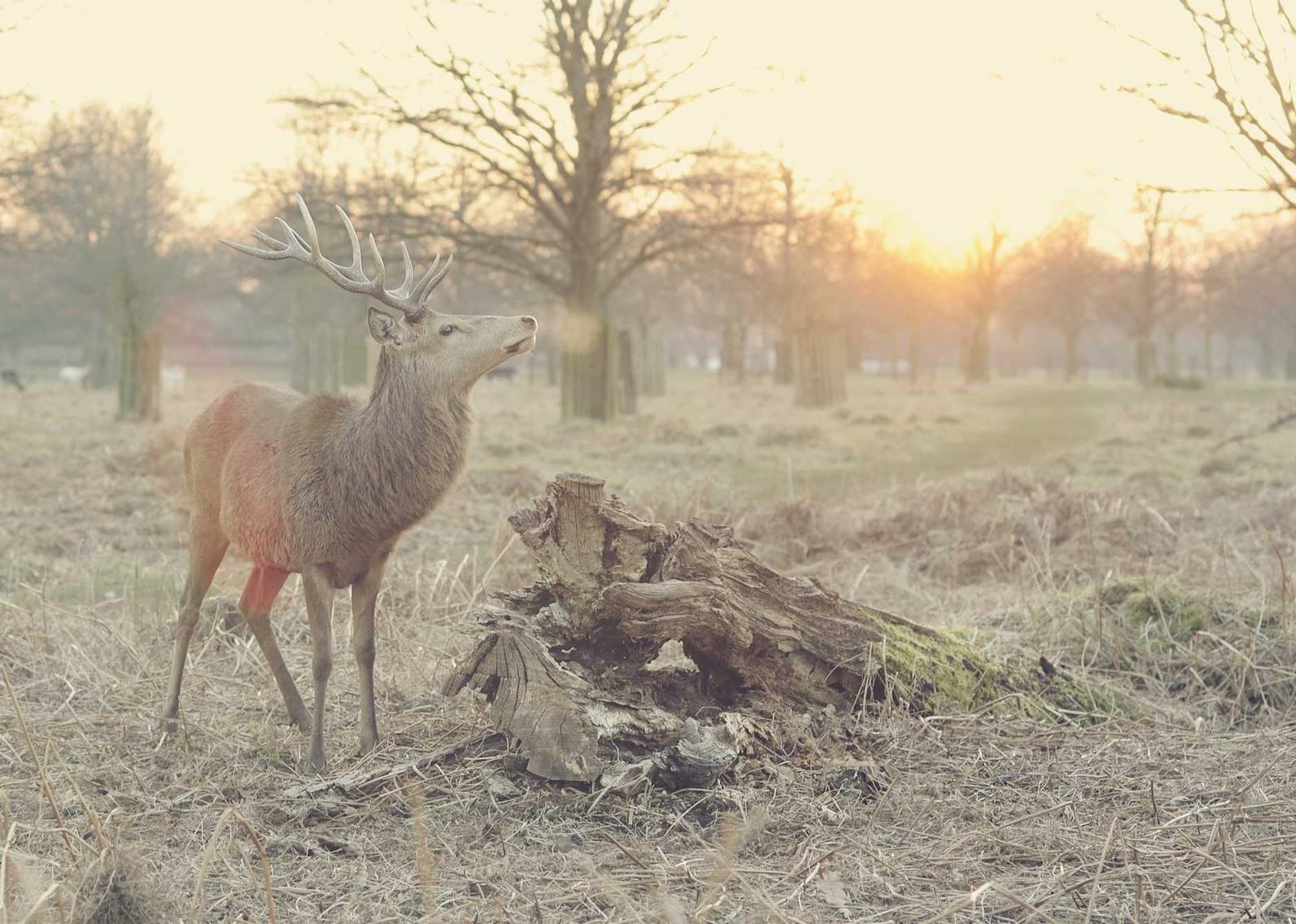 小米移动实名账号:博宝开户平台