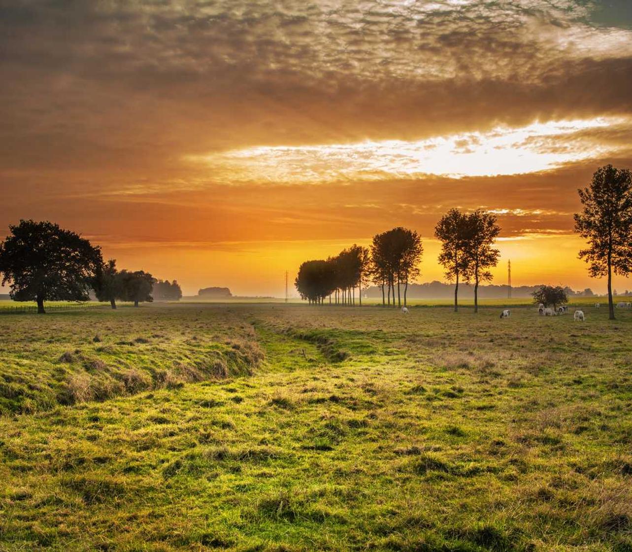 技术支持辅助是否有技术瓶颈?