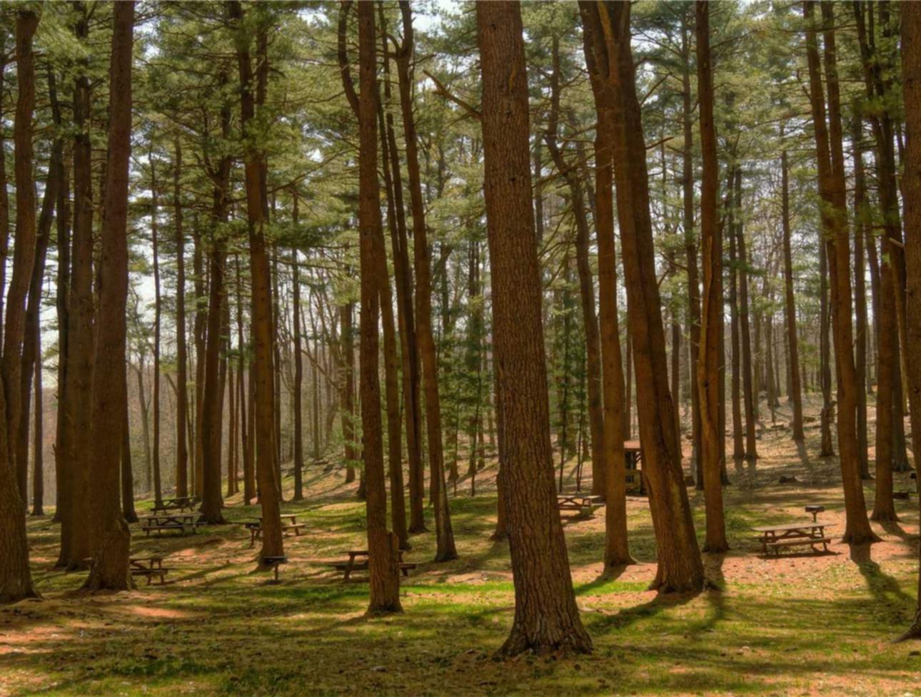 宇宙ip实名账号：实名制和在线直播