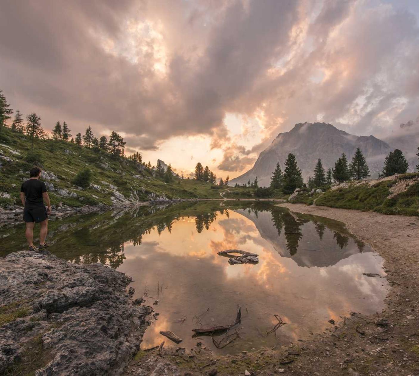 侧推类人猿爆珠：大宗平台代理