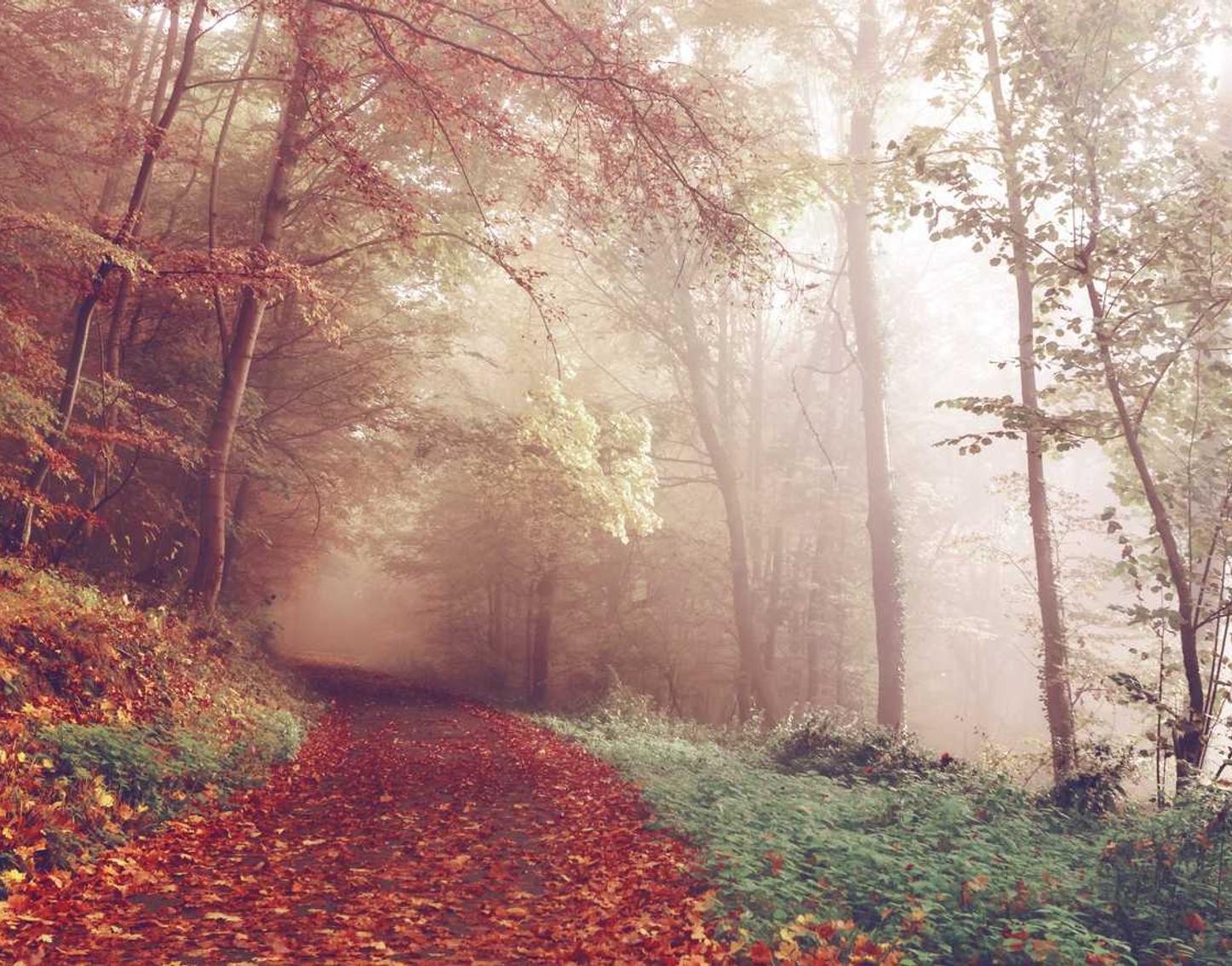 京东实名账号：bwin平台开户