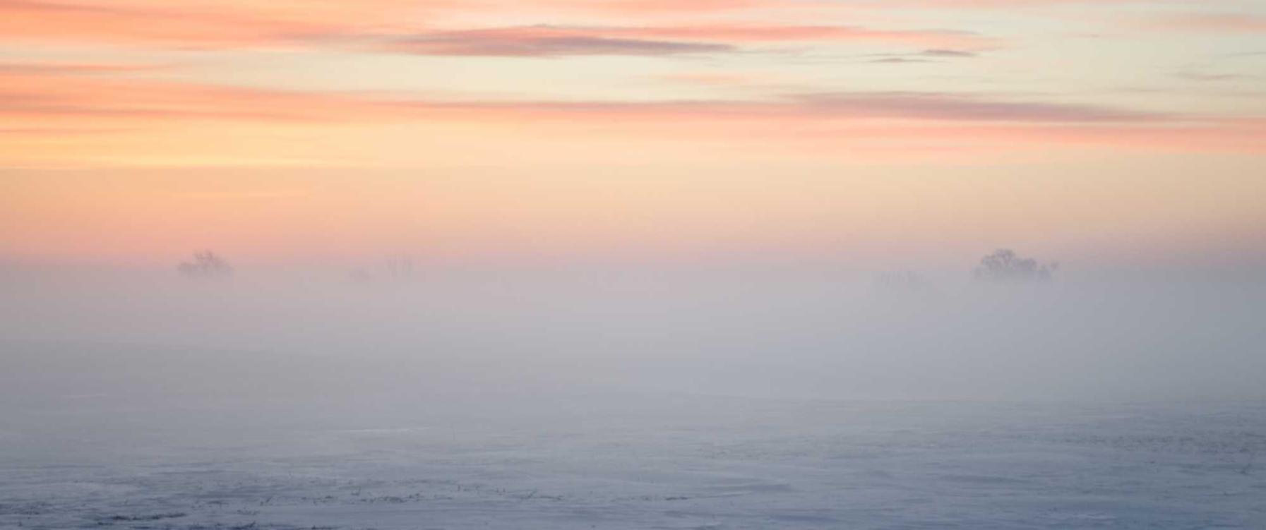 卧虎藏龙:详情下载教程360浏览器app