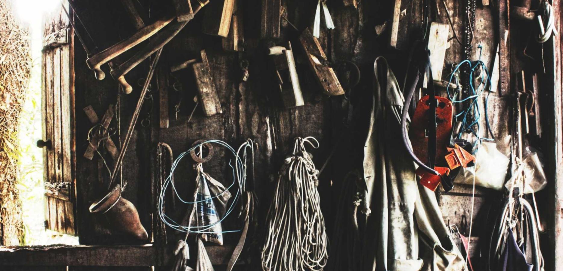 亿速云实名账号：獭兔宠物购买平台