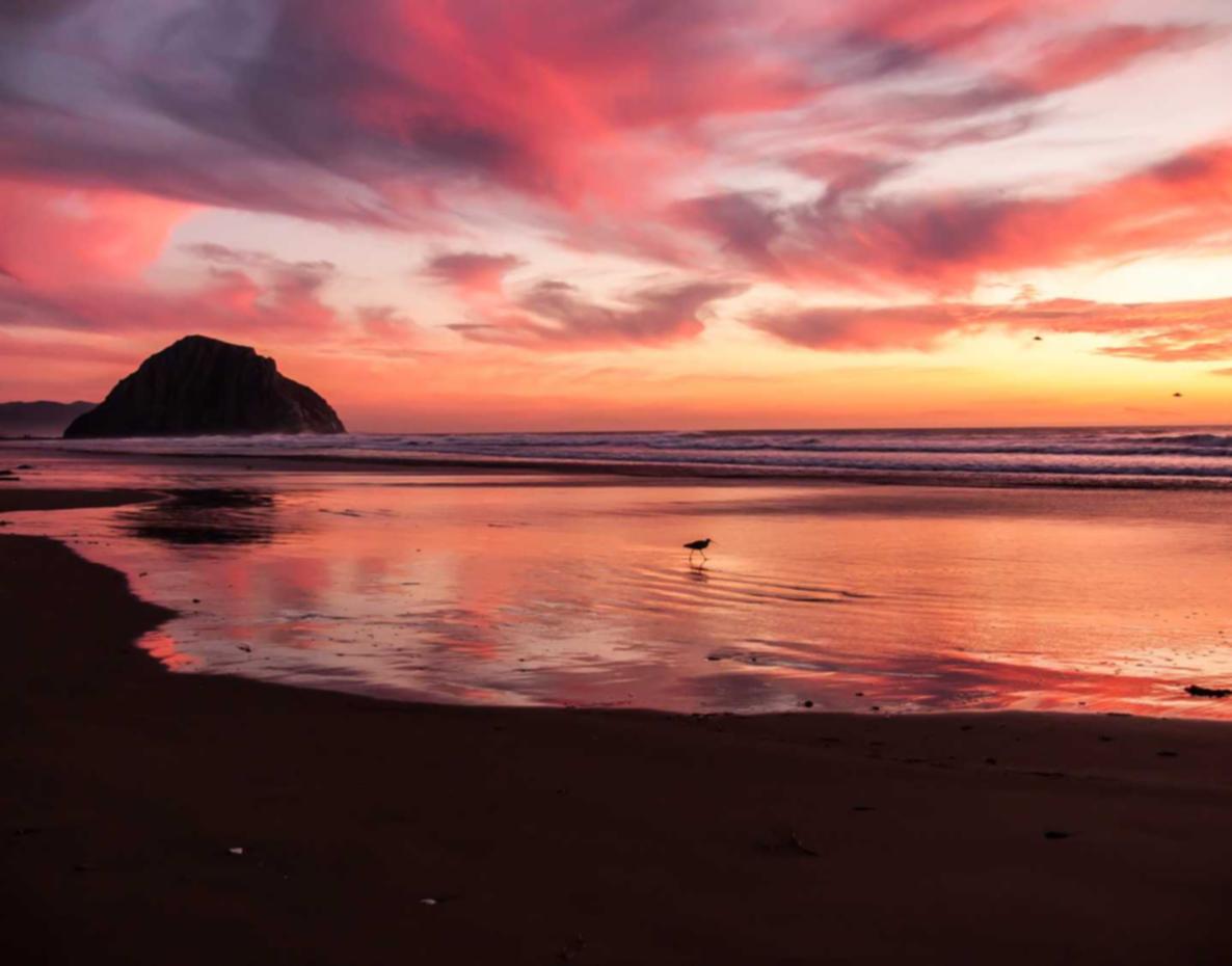 DDOS攻击平台|购买保险的平台有哪些平台