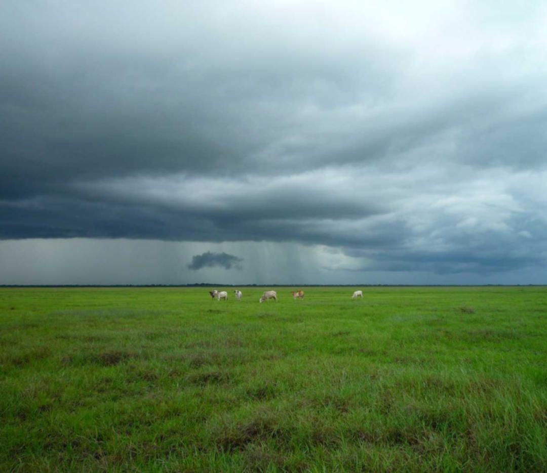 天宏娱乐，注册|进货补货代理平台