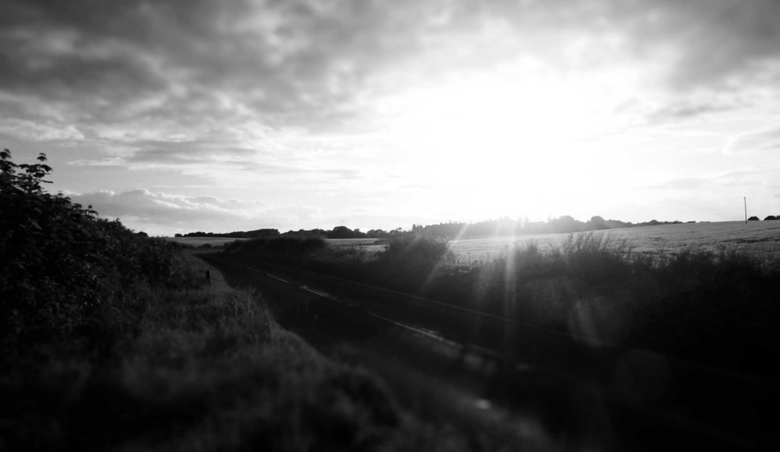 DDOS网页端|中药花茶购买平台