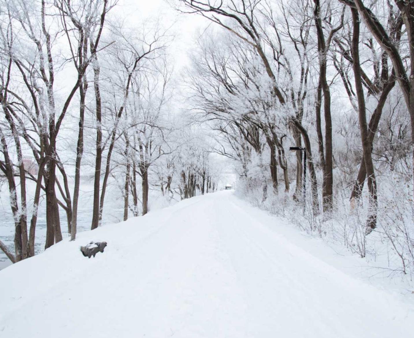 如何在家里消除吸烟的痕迹？