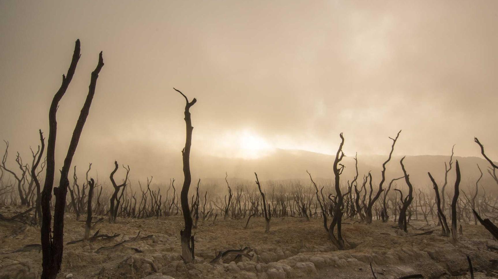 注册已实名手机卡- 风行电影软件详情下载教程app