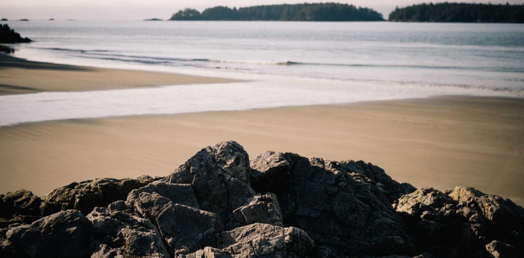 金洋娱乐，注册|欧盟数据库账号怎么注册