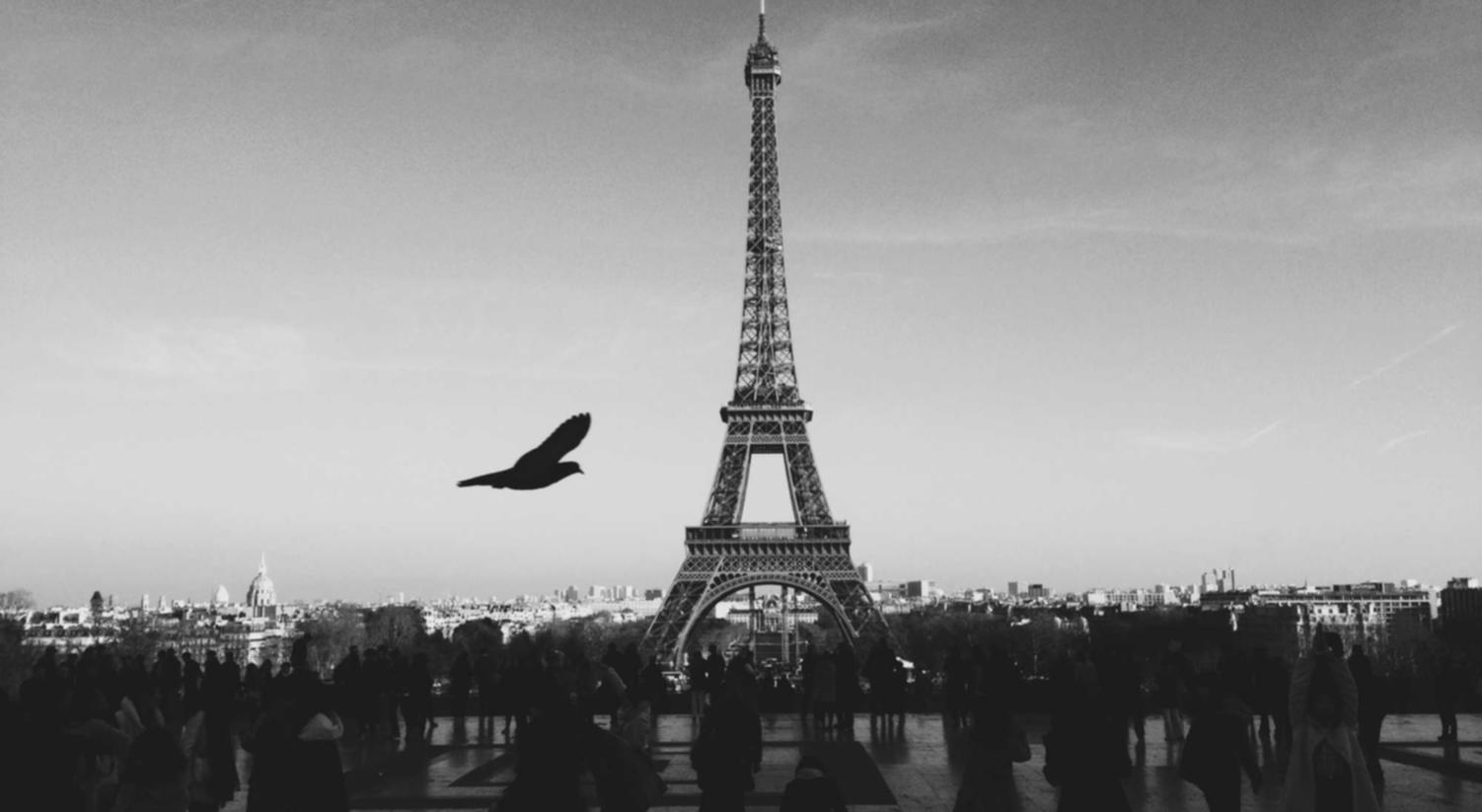 买卖微信号后:代理淘宝客平台怎么样