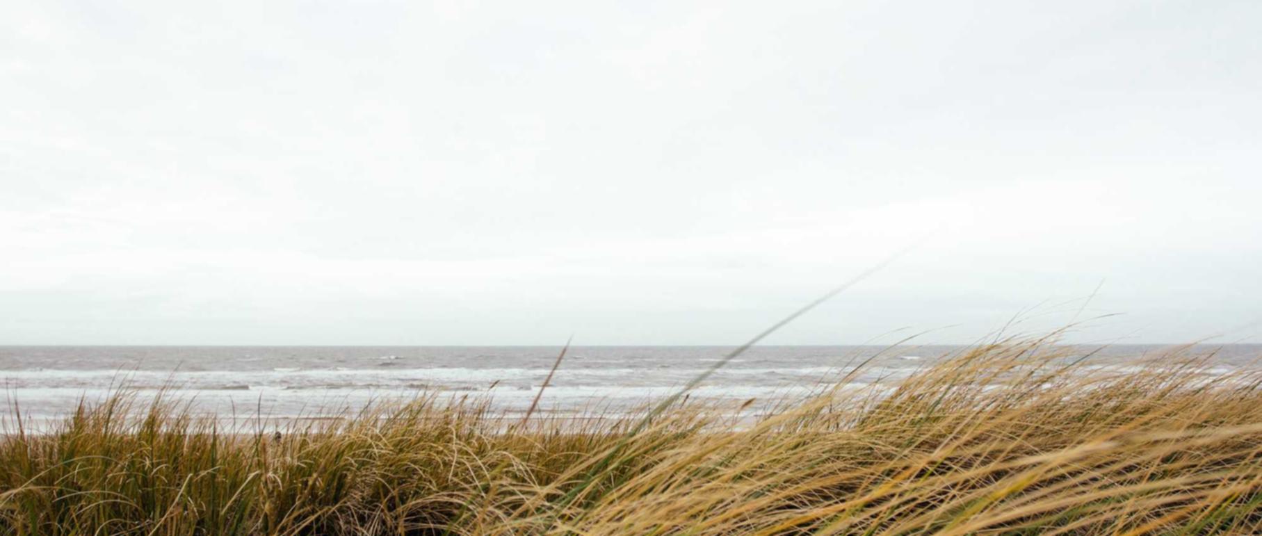 卖vx的网站：机总汇app详情下载教程