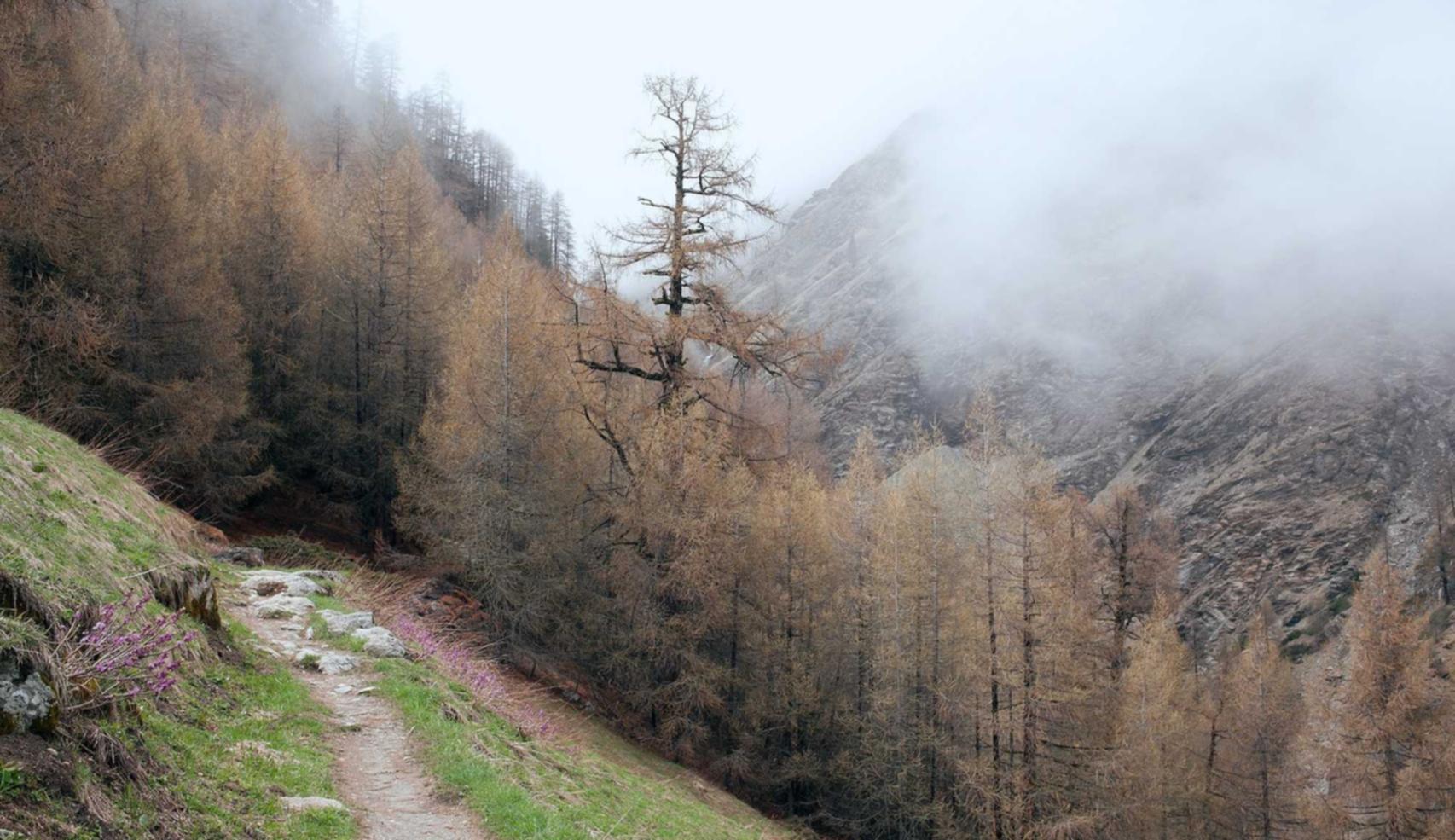 最强短信在线轰炸系统源码实名账号：流量卡的防安全防护措施