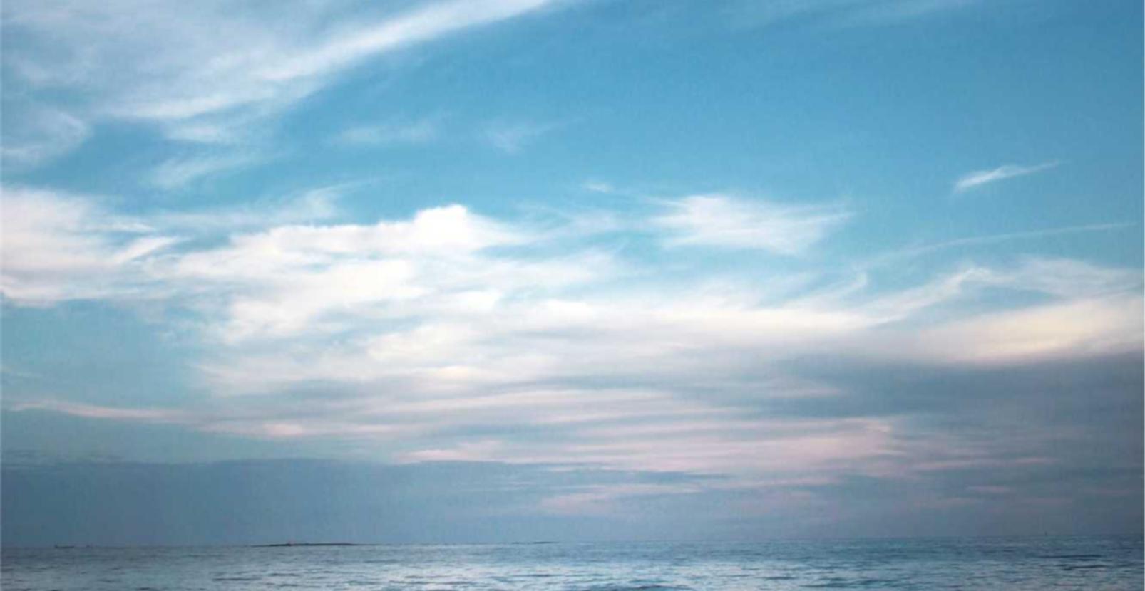 京东云实名账号：熊猫之夜APP详情下载教程