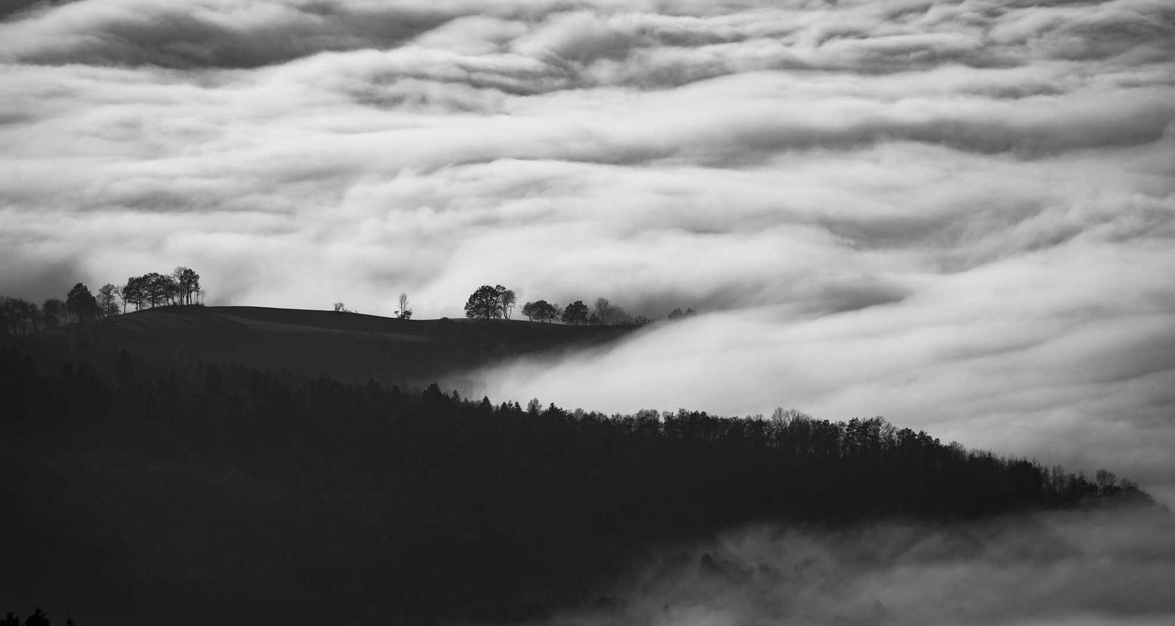 微信老号买卖：猫猫app详情下载教程