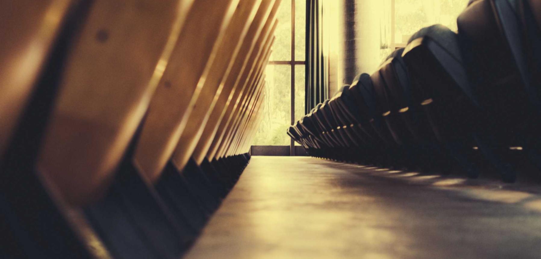 蓝狮记健康app详情下载教程