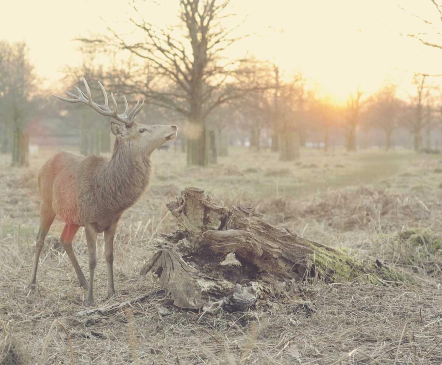 富途破解账号购买