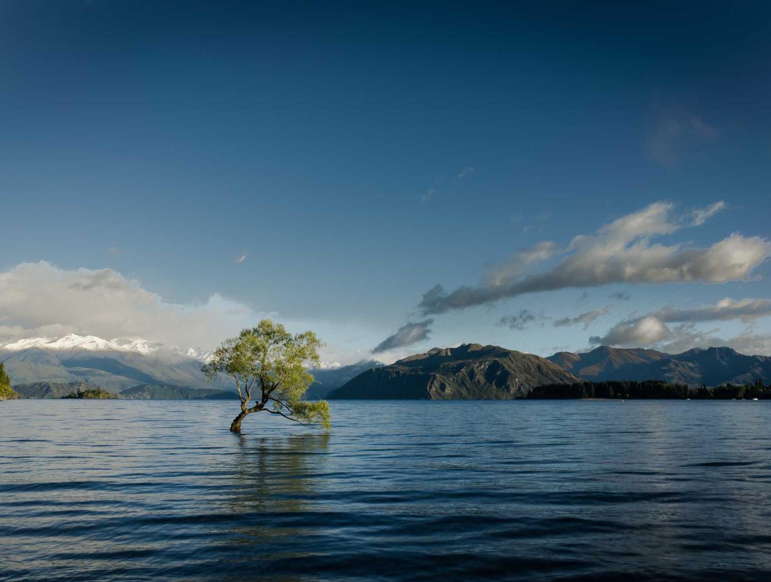 女神联盟2:洗化用品代理平台