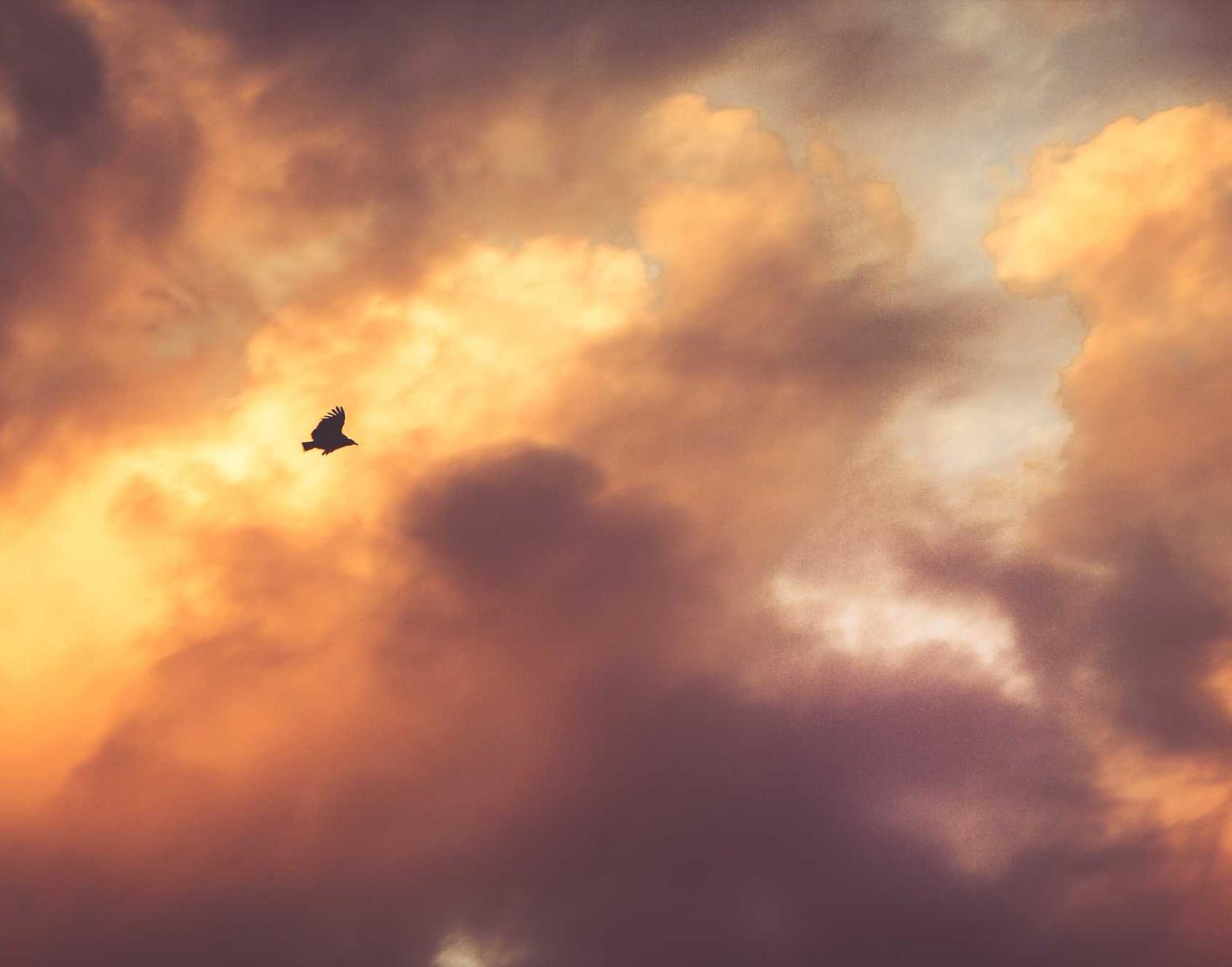 青牛软件实名账号：顺丰骑士如何注册账号