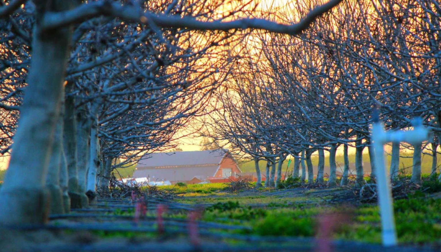 CC在线压力测试|成都品牌羽绒服平台代理