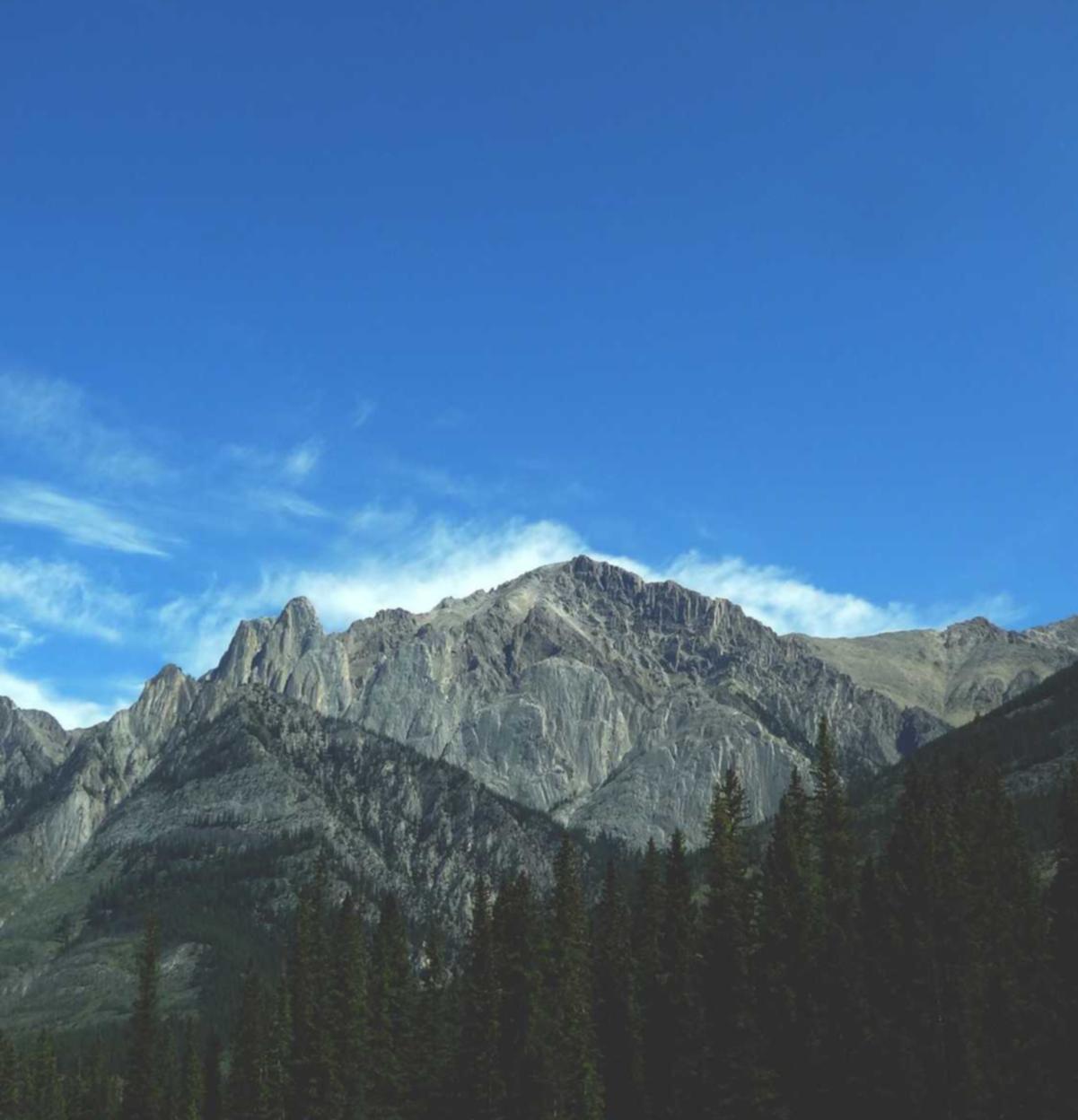 诸城公司注册代理