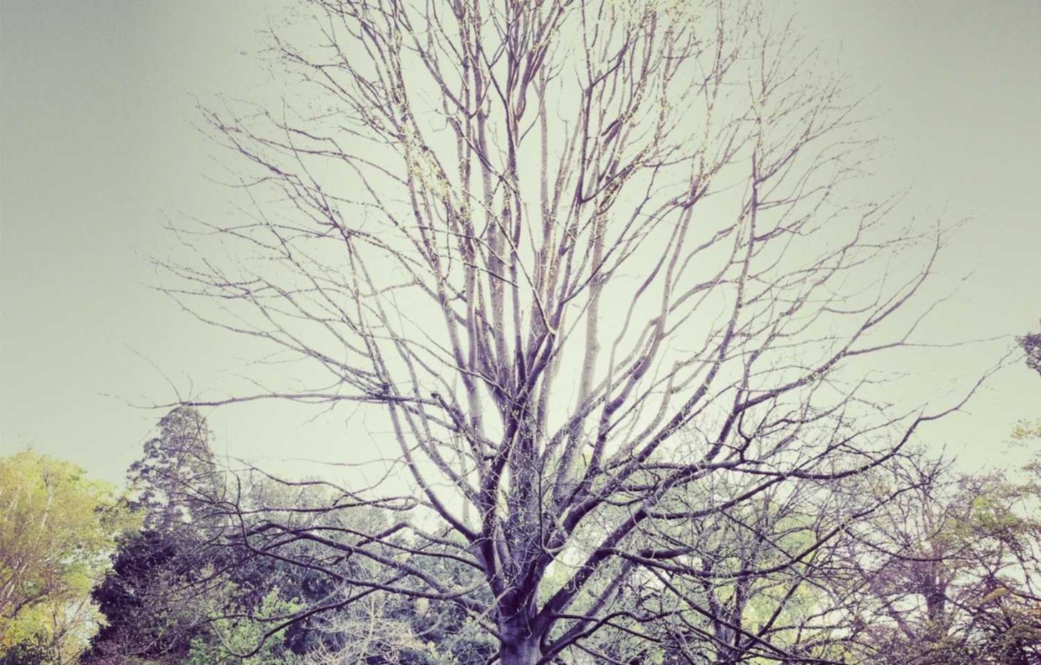 用微信能不能注册抖音账号