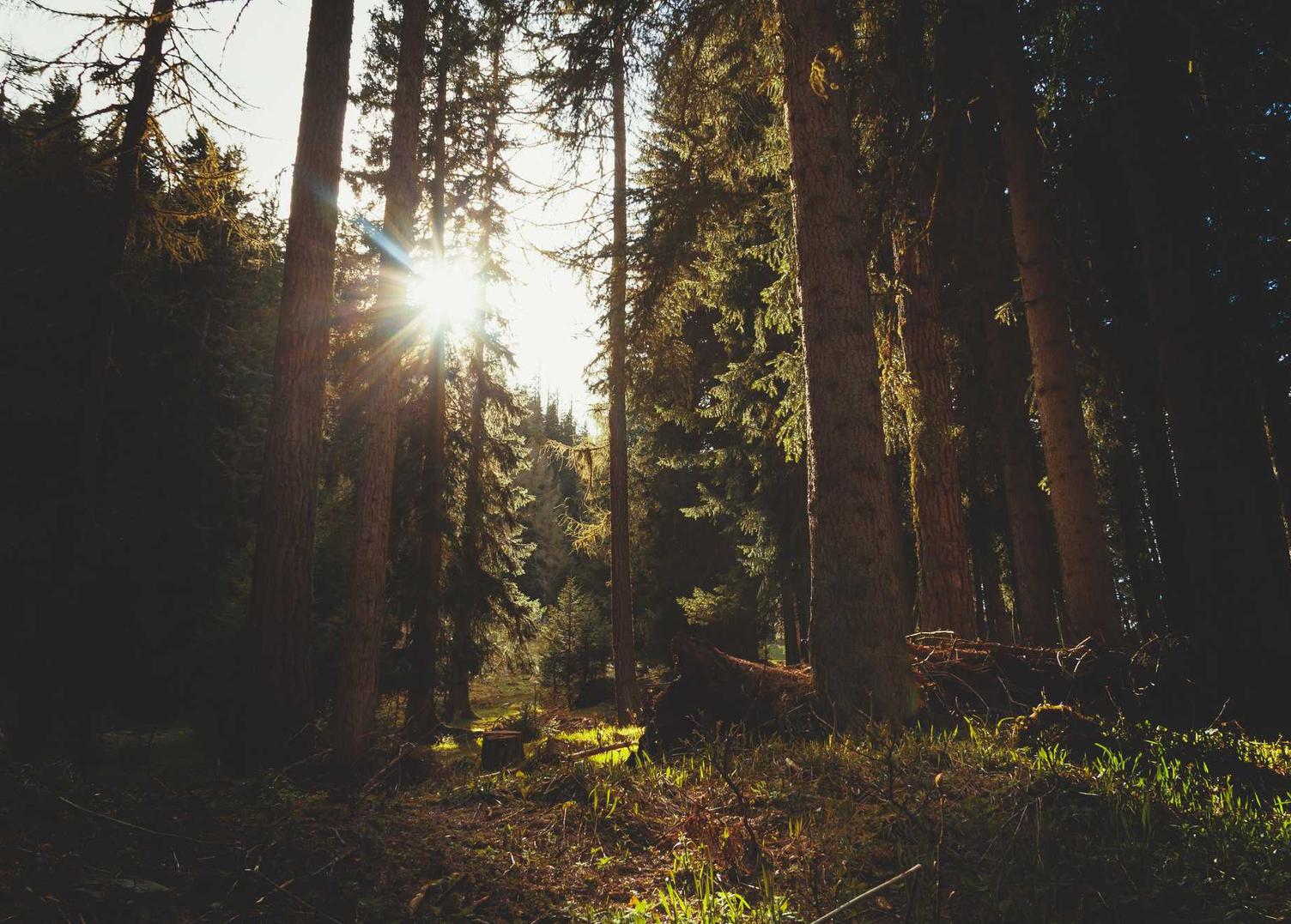 虎牙实名账号：APP详情下载教程一个APP美团