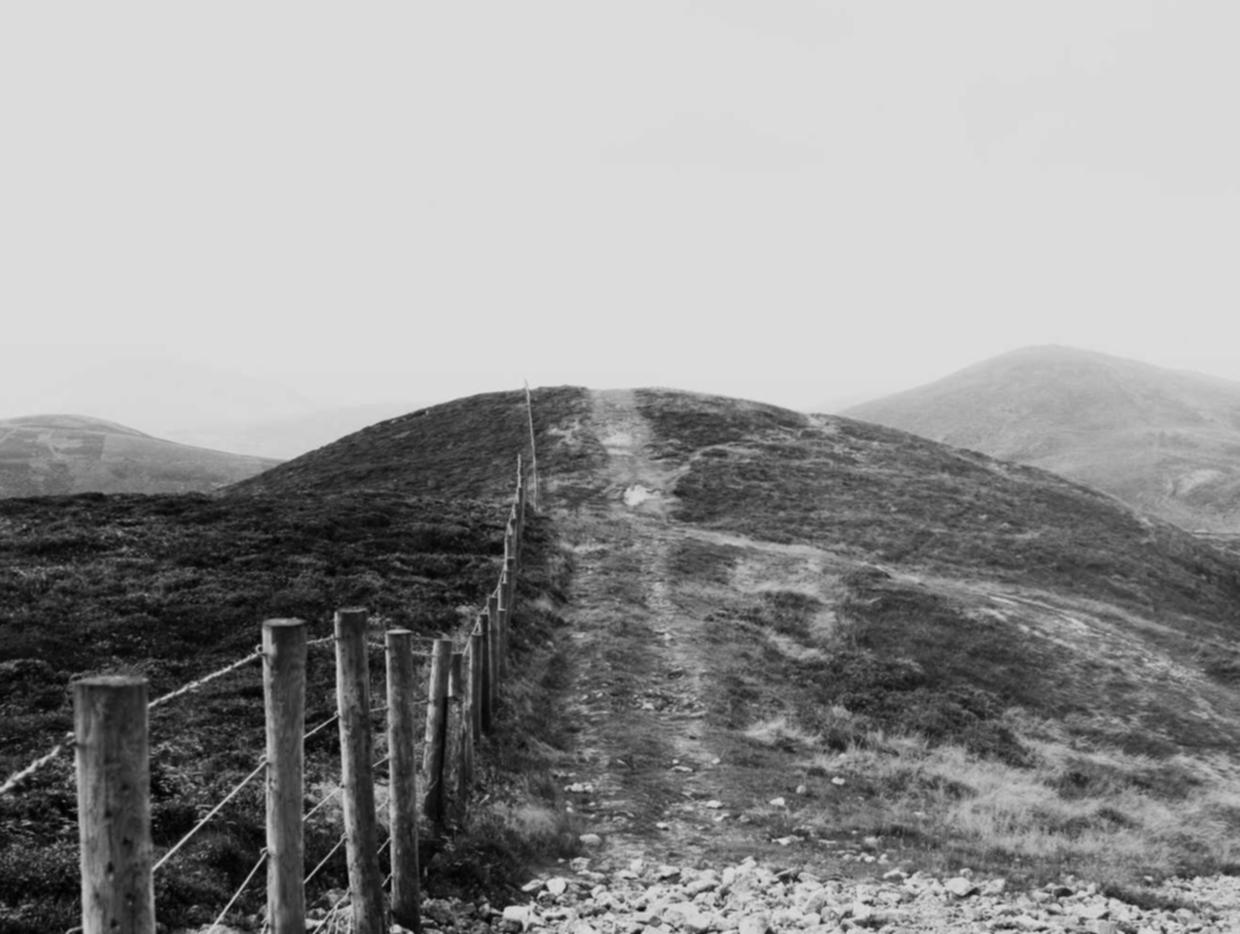 如何平衡游戏的为虎作伥和保持游戏道德