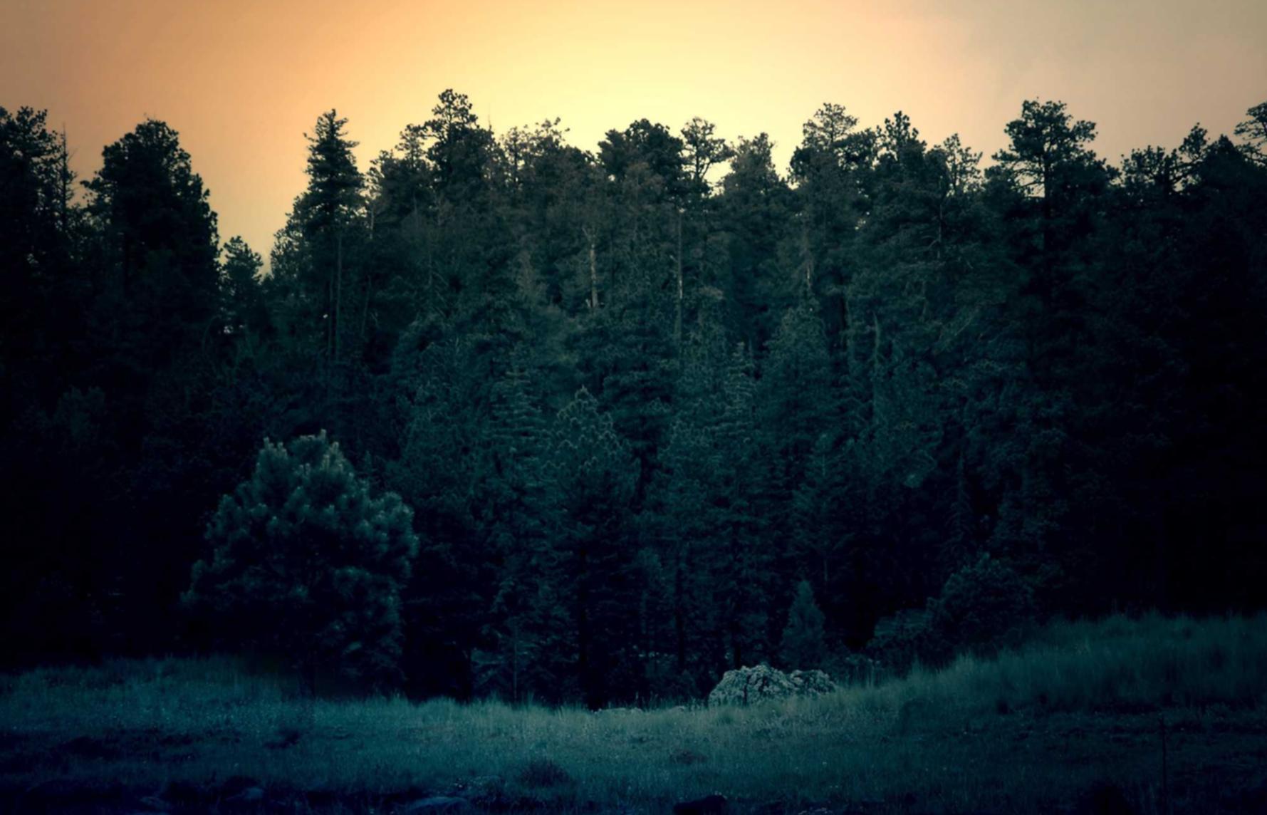 幻唐志：浙江集团公司注册代理机构