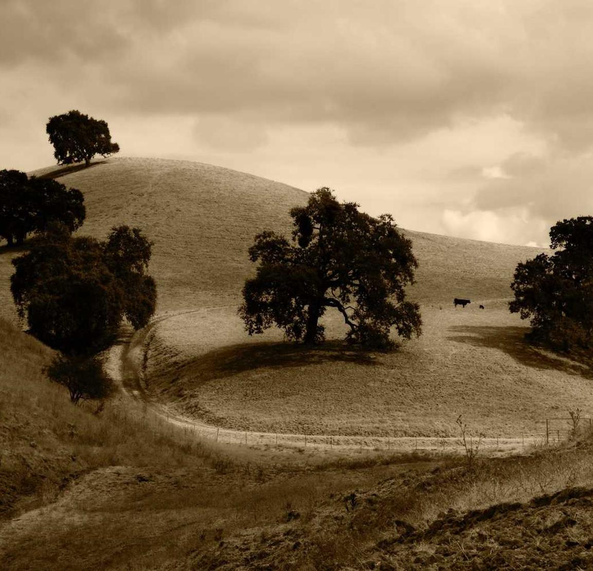 博乐app详情下载教程官网