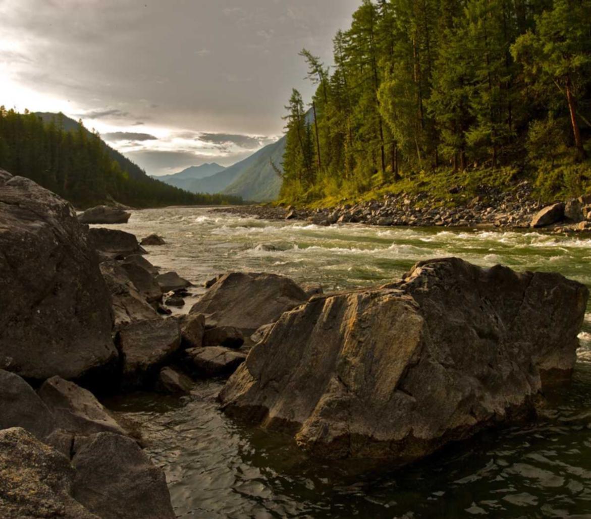 星美生活实名账号：实名认证，实现信息流动的自由和平衡