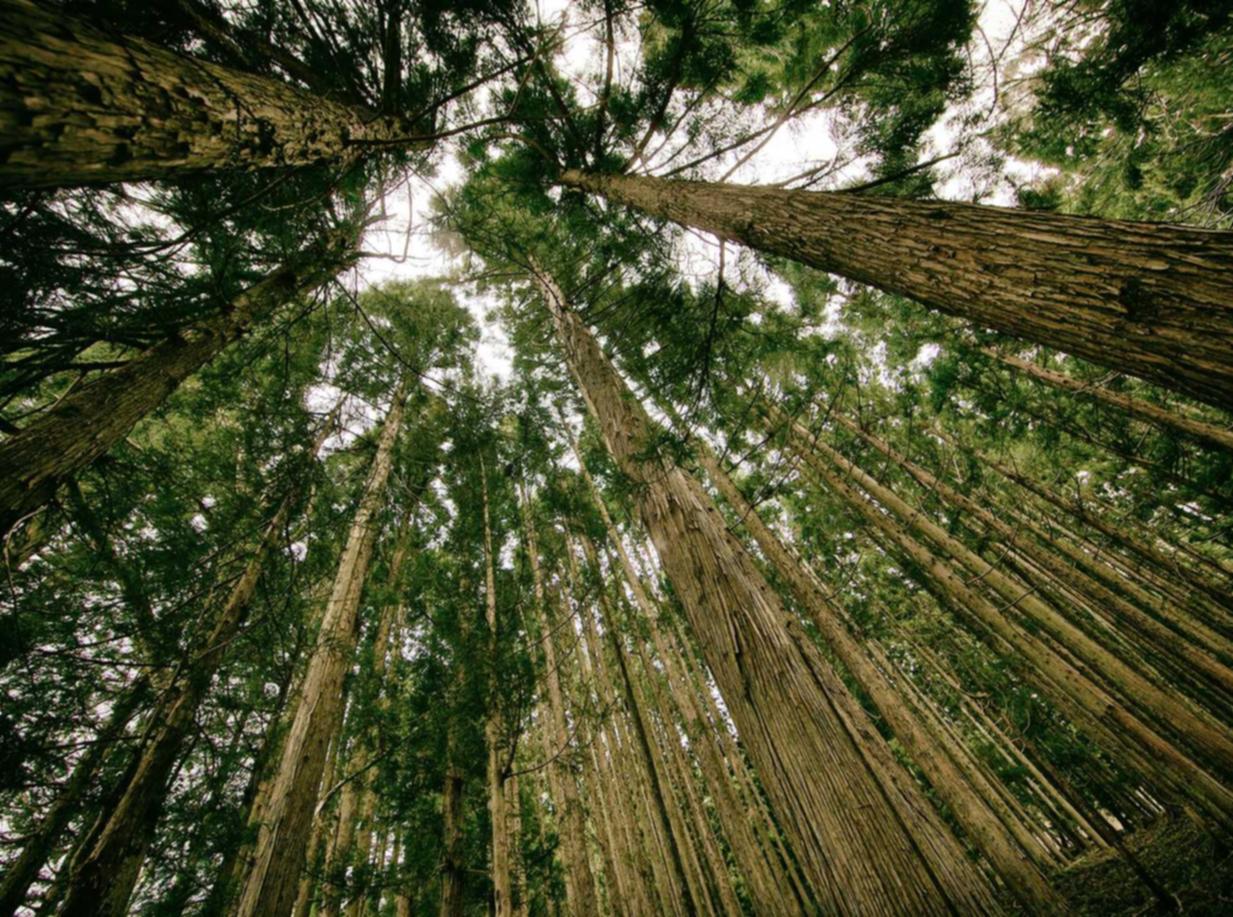 WX老号发卡网：中国ETC服务app详情下载教程