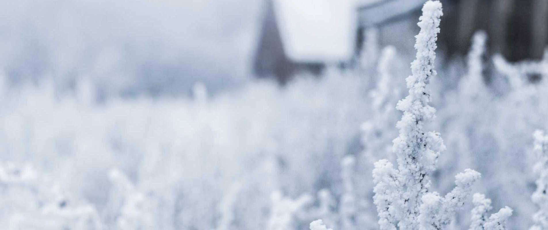 瓯海办理工商注册代理机构