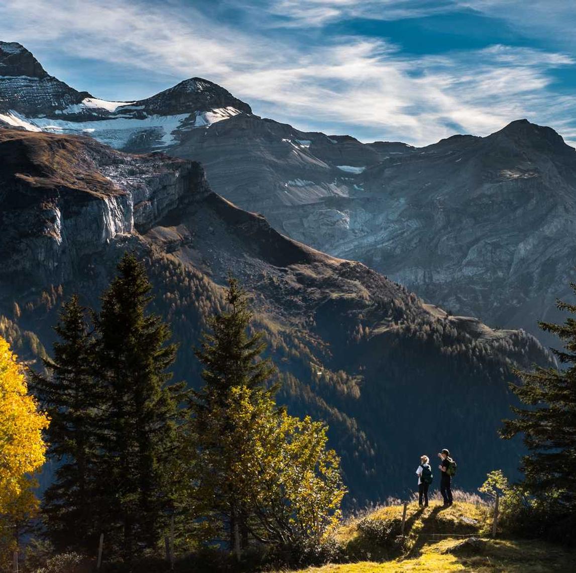 微信号买卖渠道:余杭代理商标注册哪家便宜