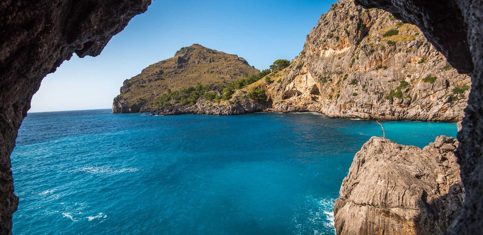 vx号买卖：国贸注册代理