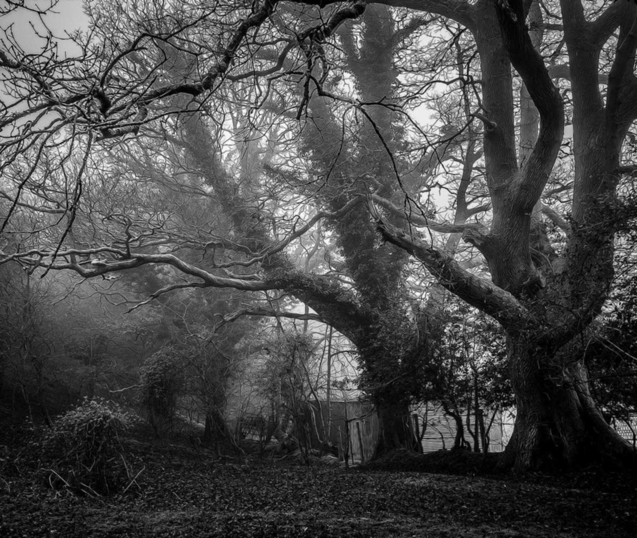 小米移动实名账号：闵行区注册财务代理