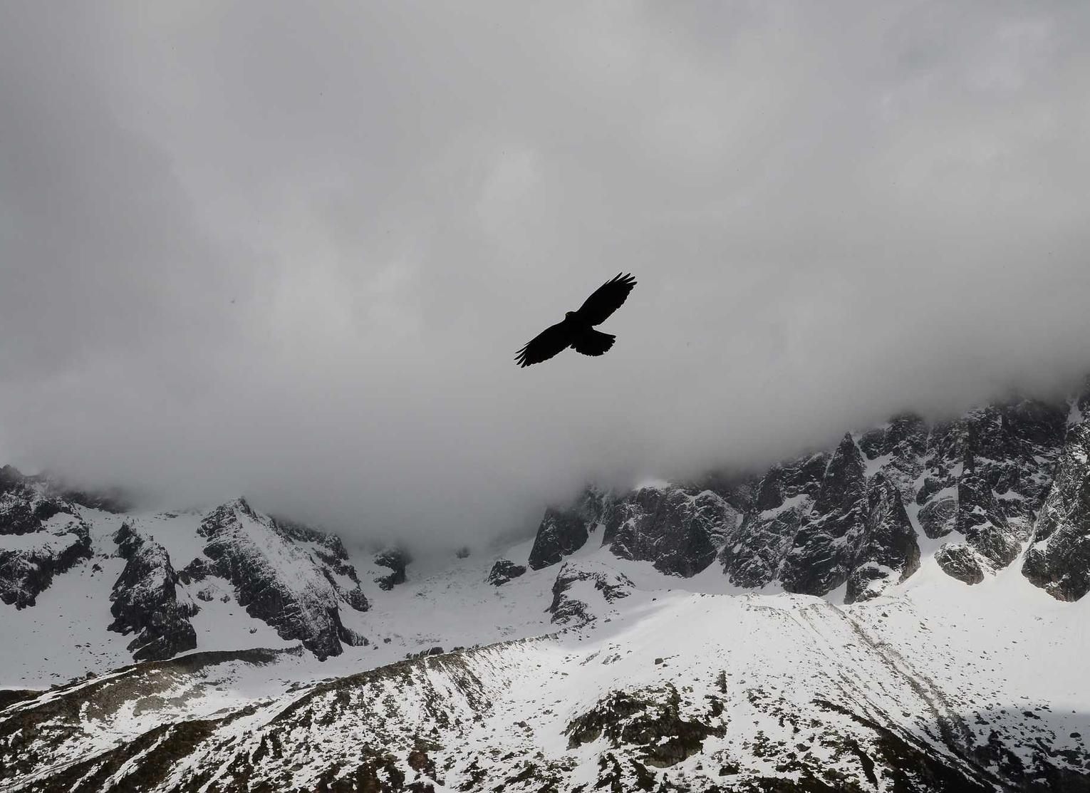 技术支持的研发背后藏着什么样的意图