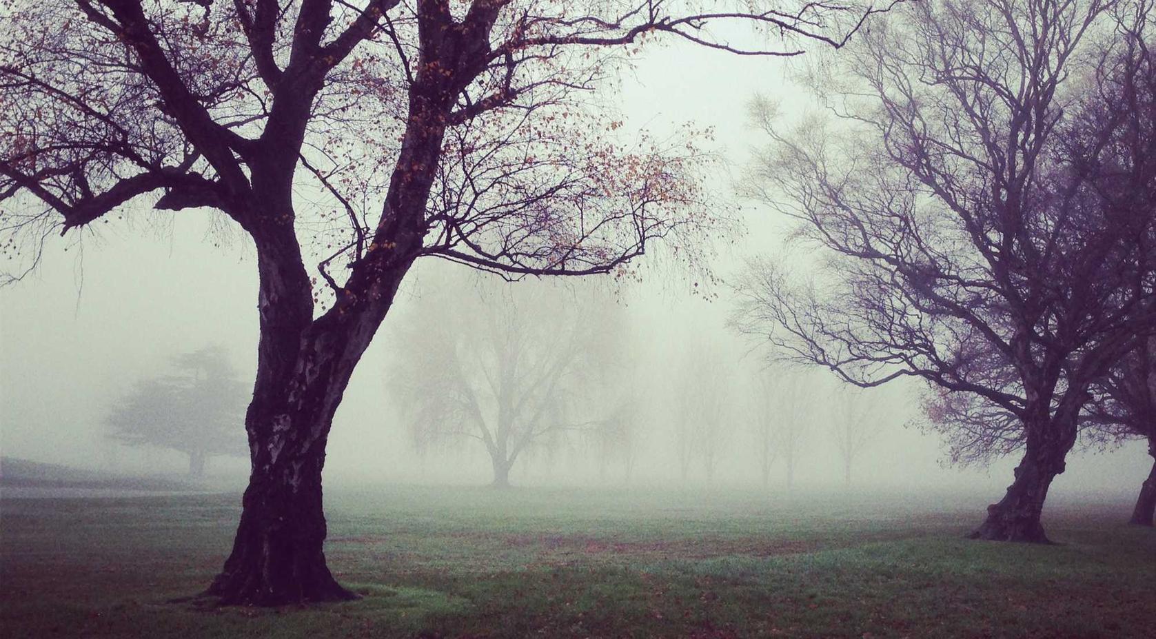 定制实名认证账号：18183详情下载教程app