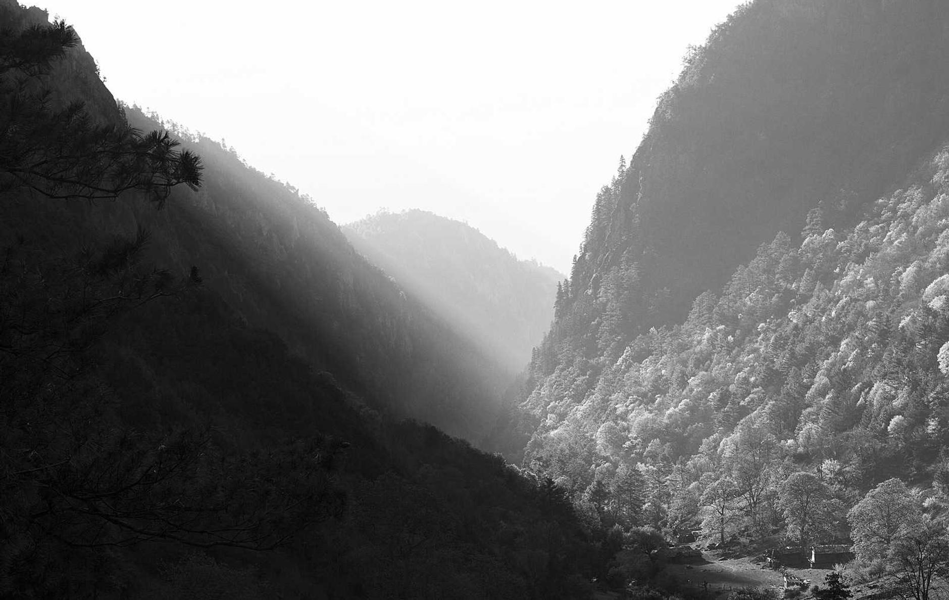 以技术手段防止技术支持是否有效？