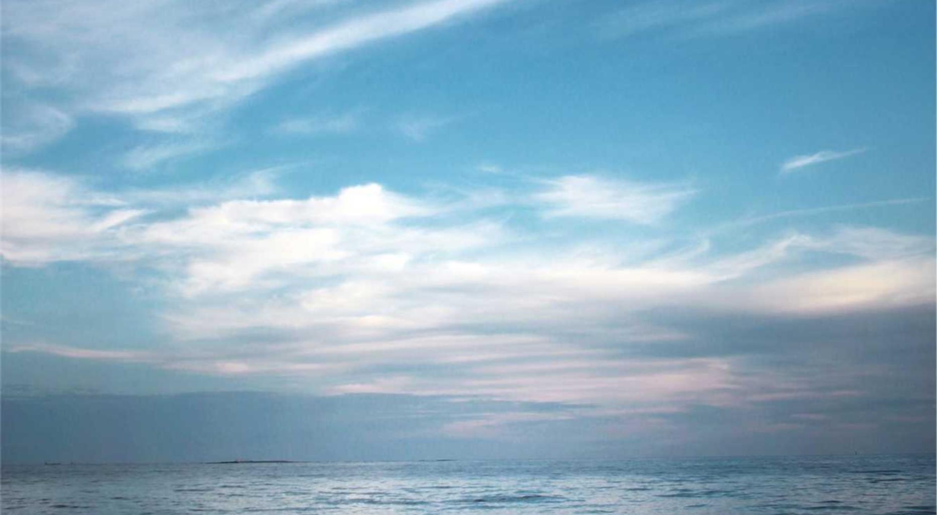 阿里通信实名账号：猫咪网破解版app详情下载教程