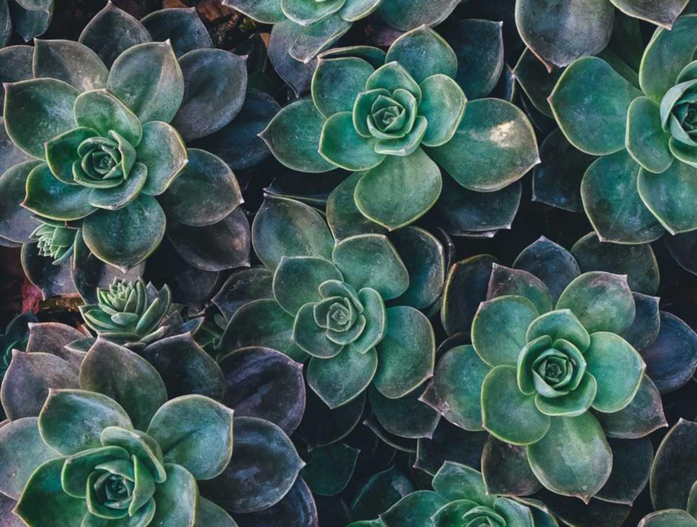 网站实名账号：代理注册扶持政策