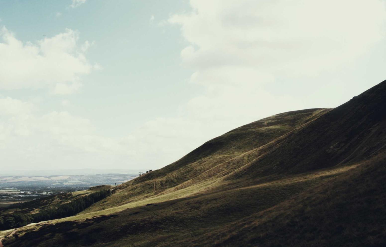 铁塔猫糖果双爆珠（细）：表演假发购买平台