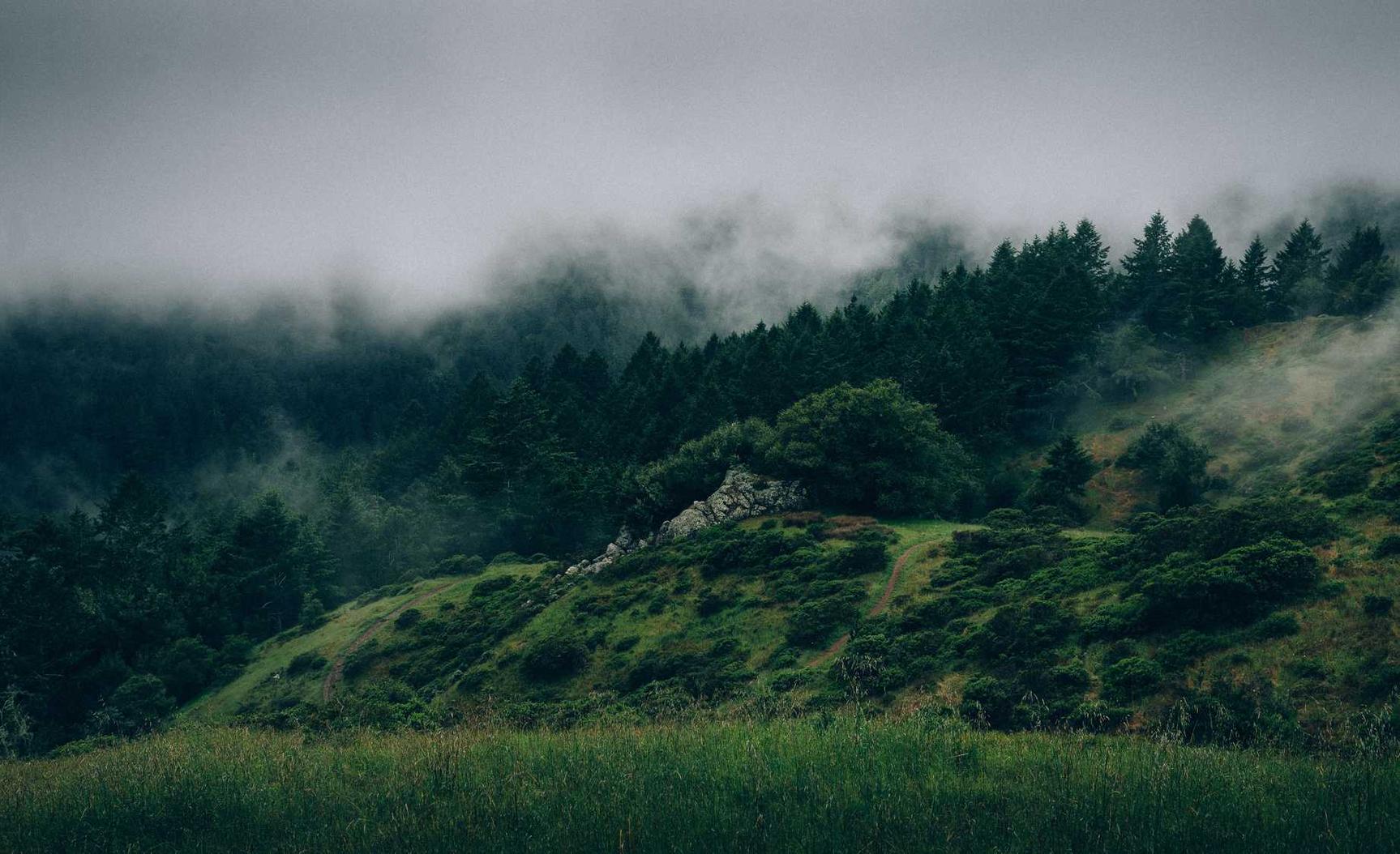 如何利用视觉对SEO进行优化