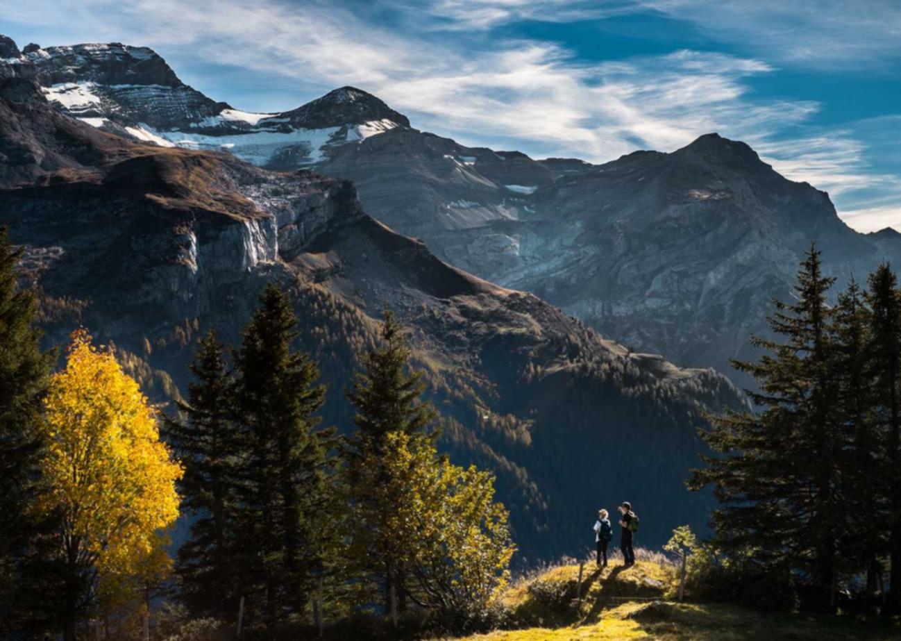 博猫游戏优秀的品牌营销：找到你的品牌魅力之所在。