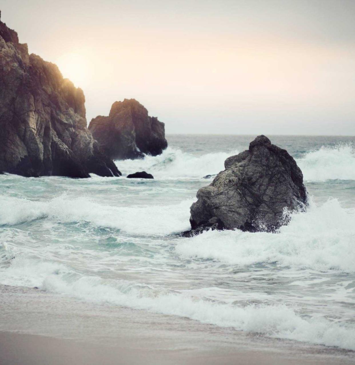 酱料包代理平台