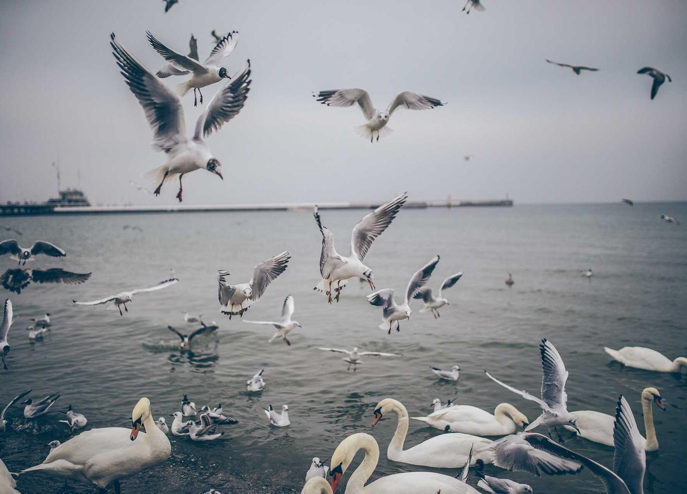 ucloud实名账号：零一app详情下载教程