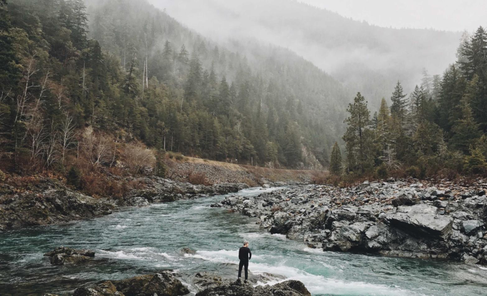 蝙蝠实名账号：详情下载教程飞扬生活app